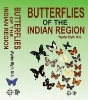 Butterflies of the Indian Region