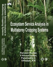 Ecosystem Service Analysis in Multistorey Cropping Systems