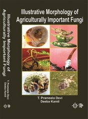 IIIustrative Morphology of Agriculturally Important Fungi