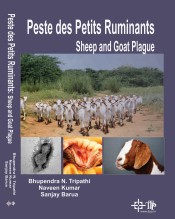 Peste des Petits Ruminants : Sheep and Goat Plague