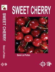Sweet Cherry
