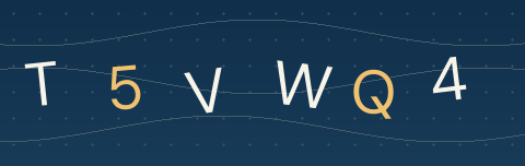 CAPTCHA security code
