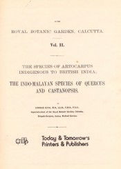 Cover of The Species of Artocarpus Indigenous to British India and the Indo-Malayan Species of Quercus and castnopsis [2 parts]