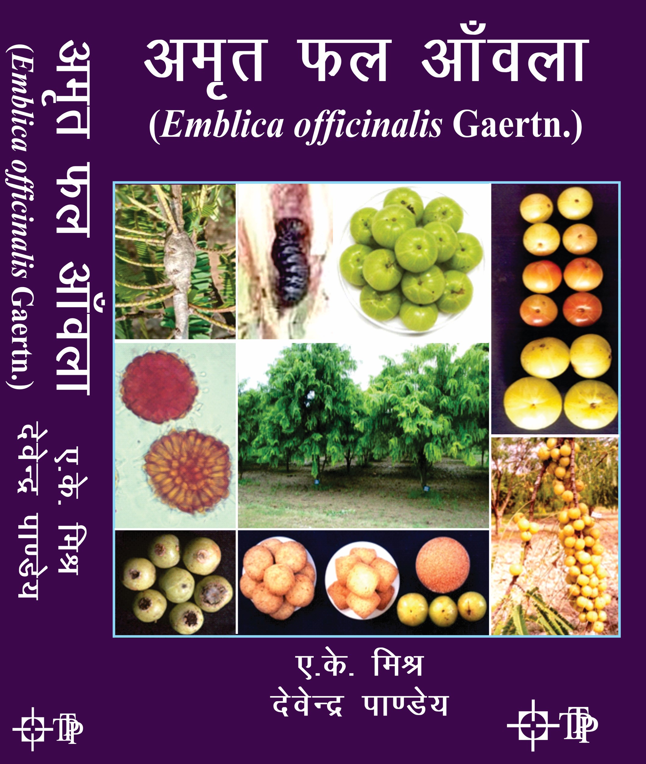 Cover of Amrit Phal Amla (Emblica Officinalis Gaertn)