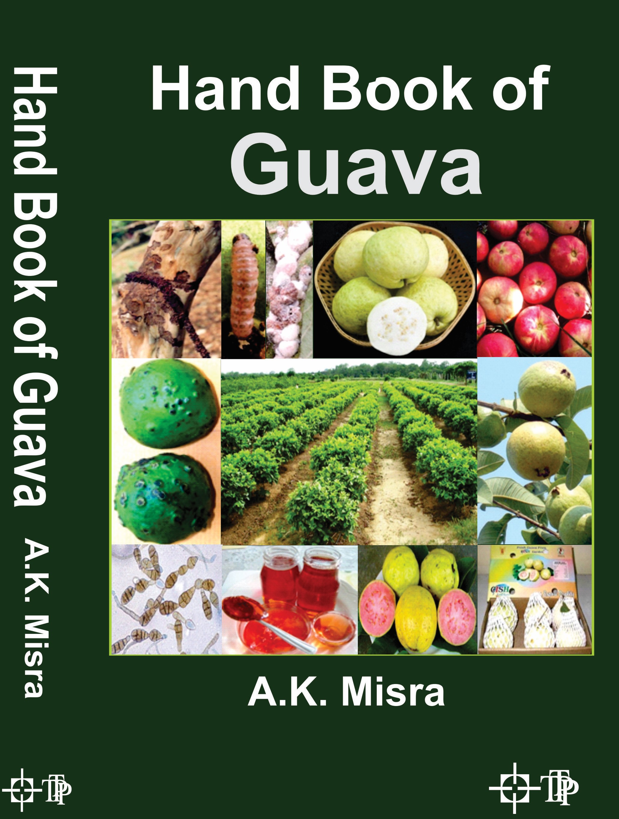 Cover of Hand Book of Guava