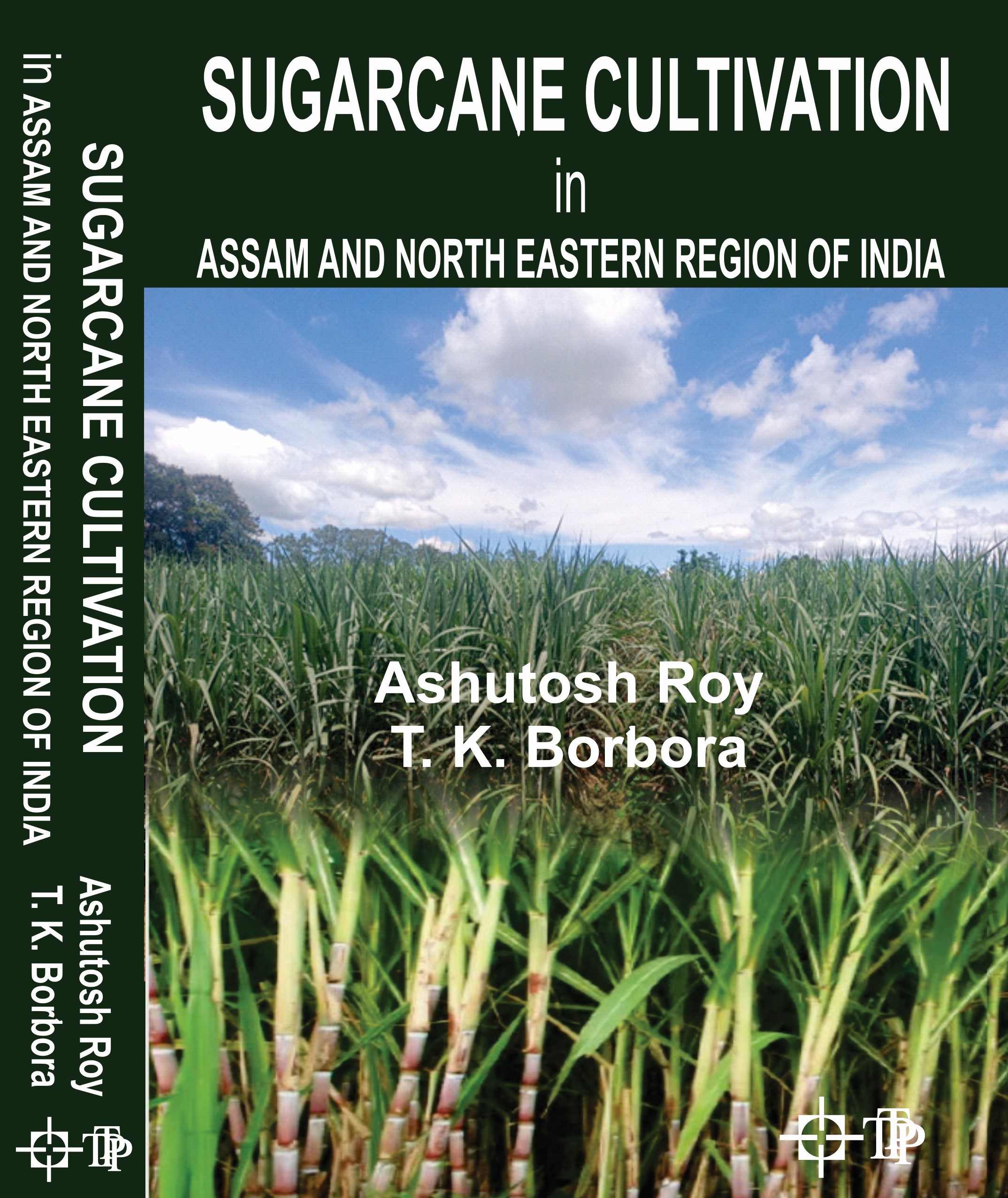 Cover of Sugarcane Cultivation In Assam And North Eastern Region Of India.