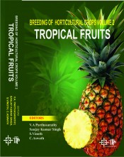 Cover of Breeding of Horticultural Crops Vol. 2 : Tropical Fruits