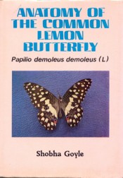 Cover of Anatomy of the Common Lemon Butterfly.