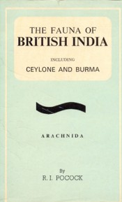 Cover of Aracchnida