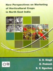 Cover of New Perspectives on Marketing of Horticultural Crops in North East India